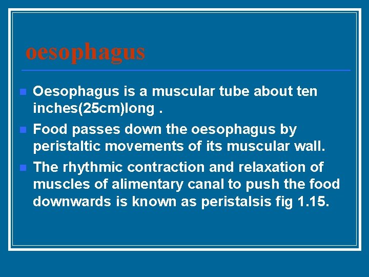 oesophagus n n n Oesophagus is a muscular tube about ten inches(25 cm)long. Food