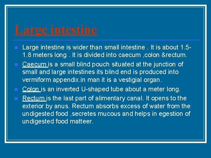 Large intestine n n Large intestine is wider than small intestine. It is about