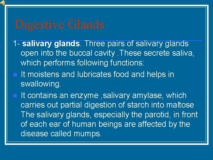 Digestive Glands 1 - salivary glands. Three pairs of salivary glands open into the