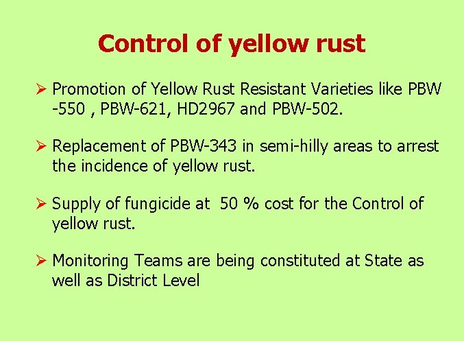 Control of yellow rust Ø Promotion of Yellow Rust Resistant Varieties like PBW -550