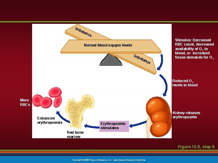 Imb ala nce Normal blood oxygen levels Imb ala nce Stimulus: Decreased RBC count,