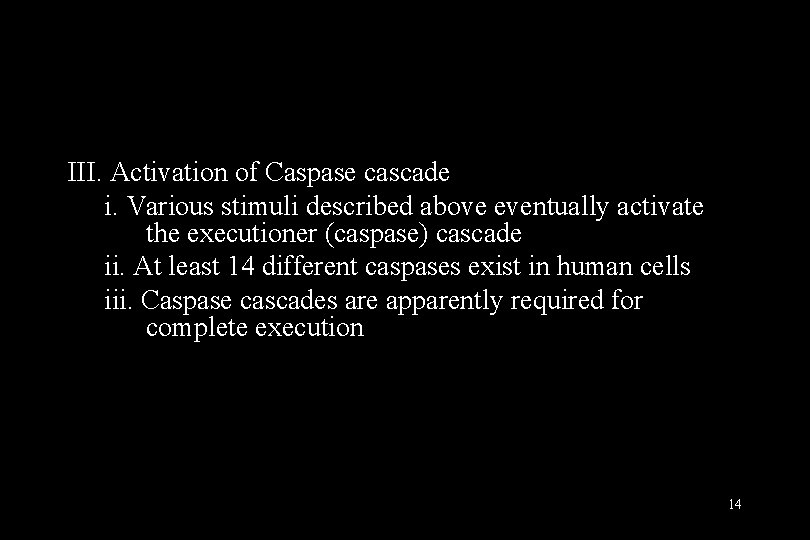 III. Activation of Caspase cascade i. Various stimuli described above eventually activate the executioner