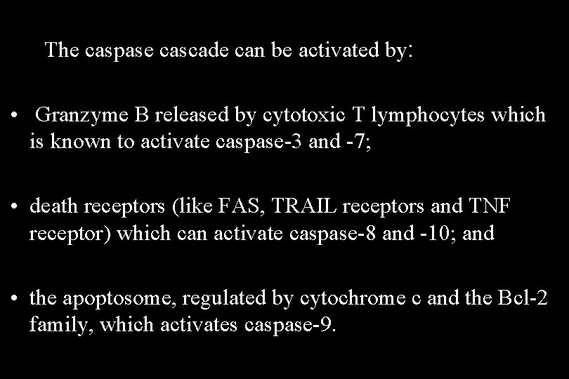 The caspase cascade can be activated by: • Granzyme B released by cytotoxic T