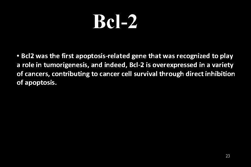 Bcl-2 • Bcl 2 was the first apoptosis-related gene that was recognized to play