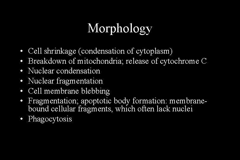 Morphology • • • Cell shrinkage (condensation of cytoplasm) Breakdown of mitochondria; release of