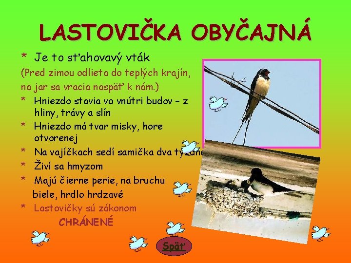 LASTOVIČKA OBYČAJNÁ * Je to sťahovavý vták (Pred zimou odlieta do teplých krajín, na