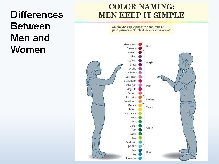 Differences Between Men and Women 31 