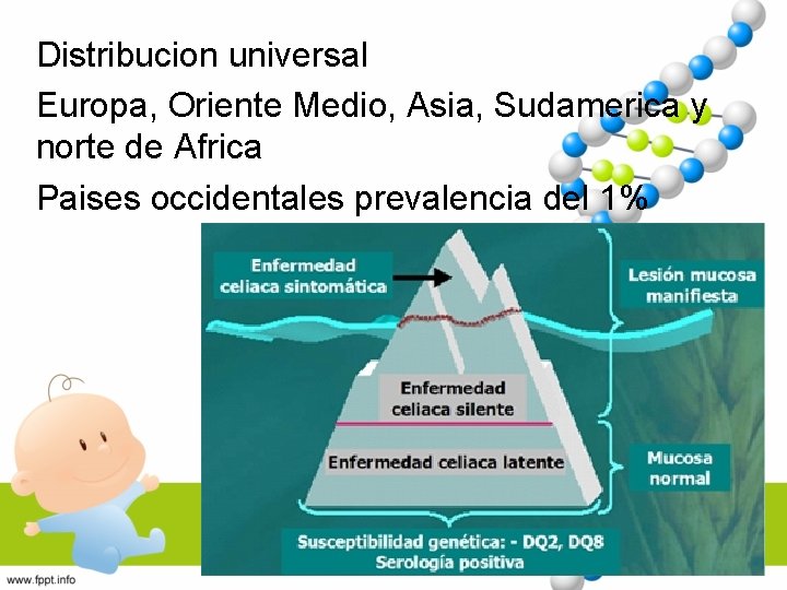 Distribucion universal Europa, Oriente Medio, Asia, Sudamerica y norte de Africa Paises occidentales prevalencia