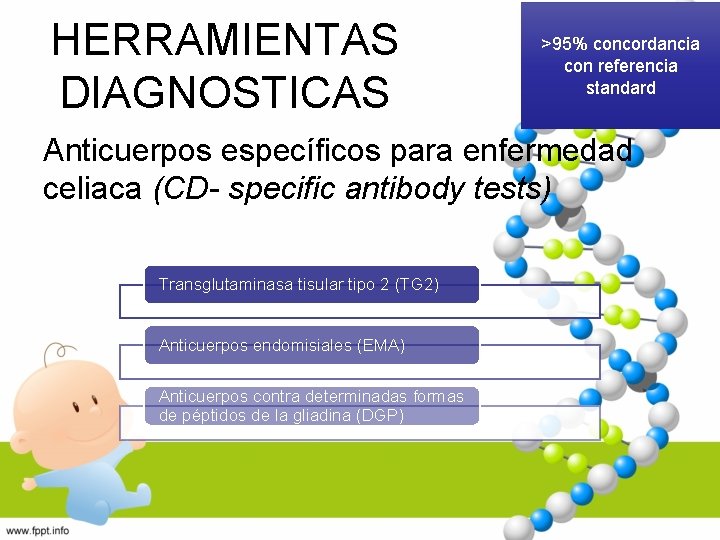 HERRAMIENTAS DIAGNOSTICAS >95% concordancia con referencia standard Anticuerpos específicos para enfermedad celiaca (CD- specific