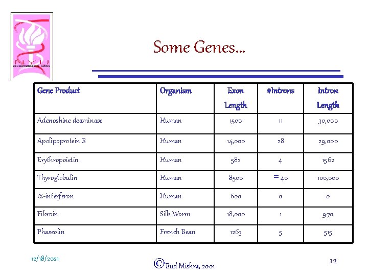 Some Genes… Gene Product Organism Exon Length #Introns Intron Length Adenoshine deaminase Human 1500