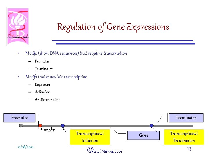 Regulation of Gene Expressions • Motifs (short DNA sequences) that regulate transcription – Promoter