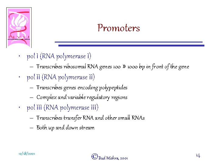 Promoters • pol I (RNA polymerase I) – Transcribes ribosomal RNA genes 100 »