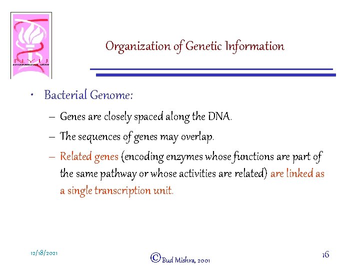 Organization of Genetic Information • Bacterial Genome: – Genes are closely spaced along the