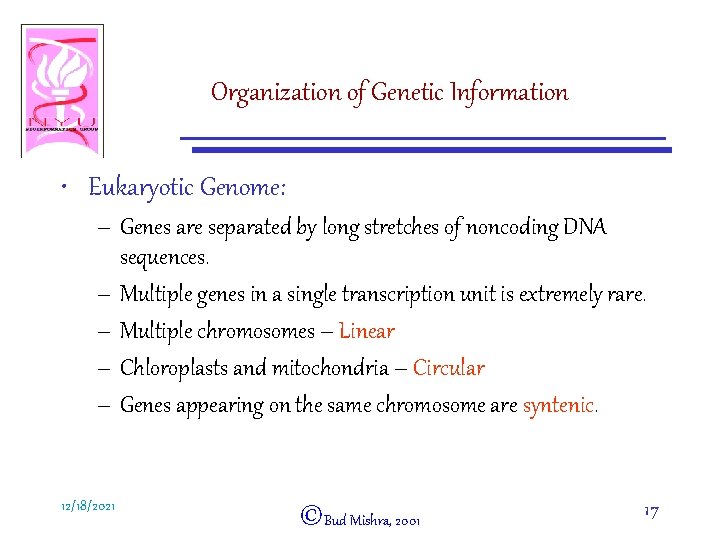 Organization of Genetic Information • Eukaryotic Genome: – Genes are separated by long stretches