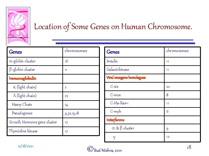 Location of Some Genes on Human Chromosome. Genes chromosomes a-globin cluster 16 Insulin 11