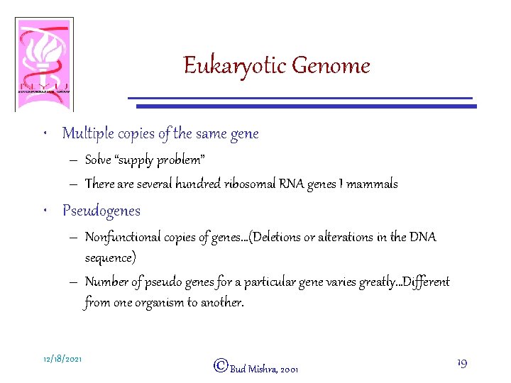 Eukaryotic Genome • Multiple copies of the same gene – Solve “supply problem” –