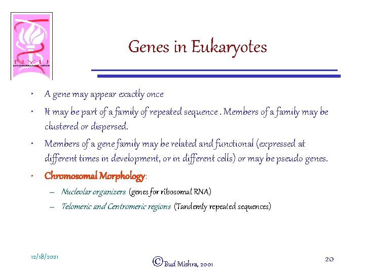 Genes in Eukaryotes • A gene may appear exactly once • It may be