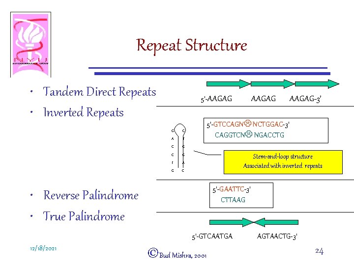 Repeat Structure • Tandem Direct Repeats • Inverted Repeats 5’-AAGAG G C A T