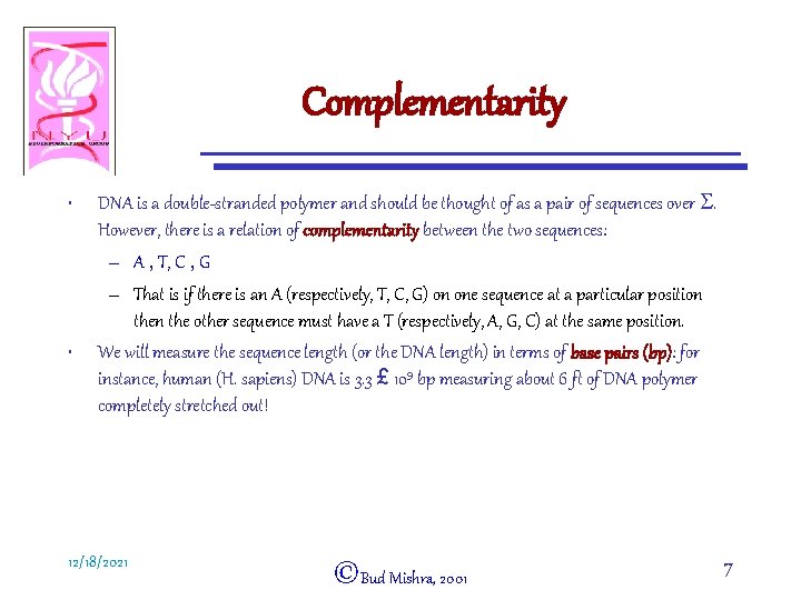 Complementarity • • DNA is a double-stranded polymer and should be thought of as