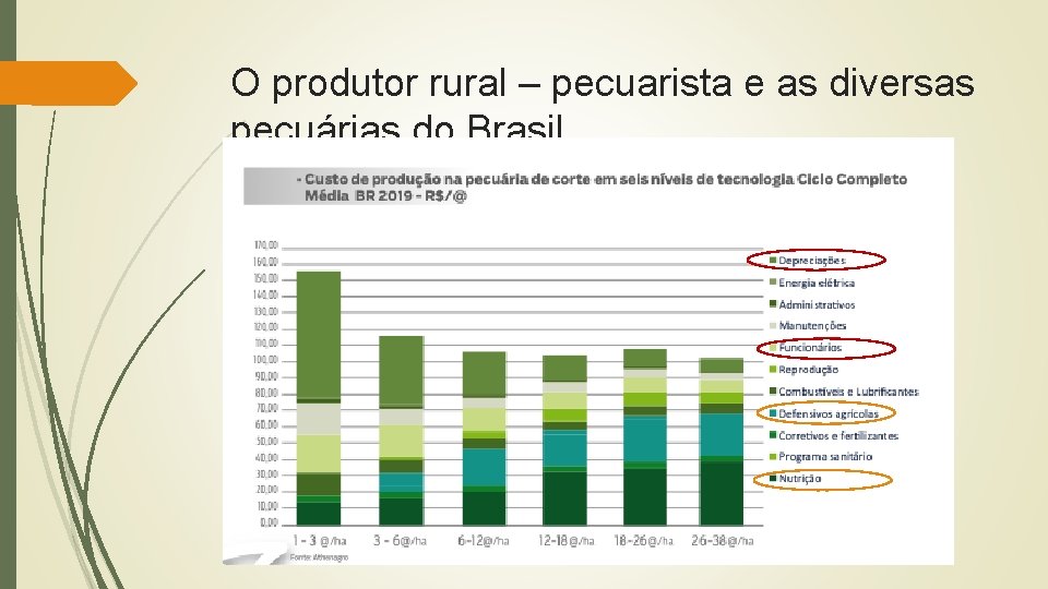 O produtor rural – pecuarista e as diversas pecuárias do Brasil 