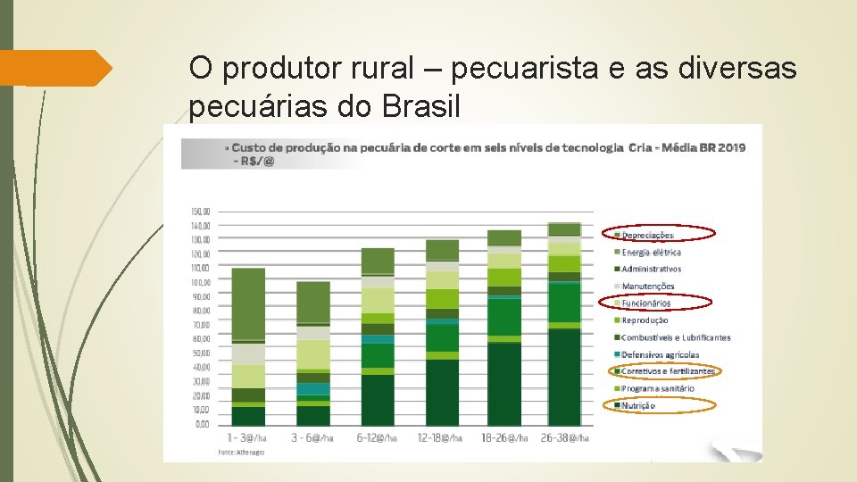 O produtor rural – pecuarista e as diversas pecuárias do Brasil 