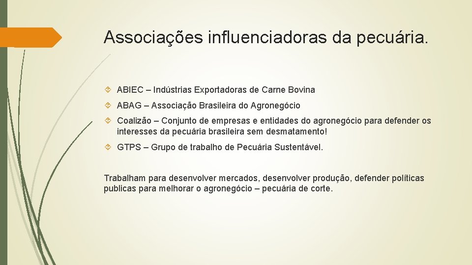 Associações influenciadoras da pecuária. ABIEC – Indústrias Exportadoras de Carne Bovina ABAG – Associação