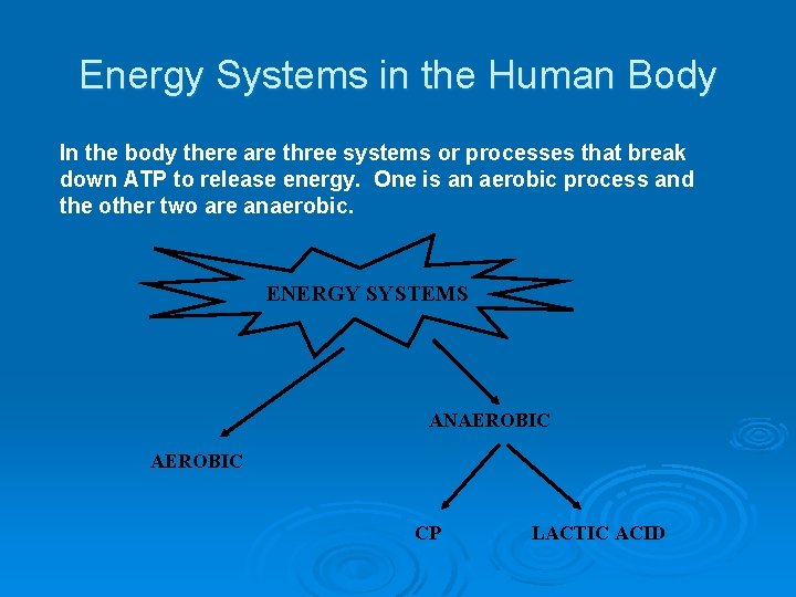Energy Systems in the Human Body In the body there are three systems or