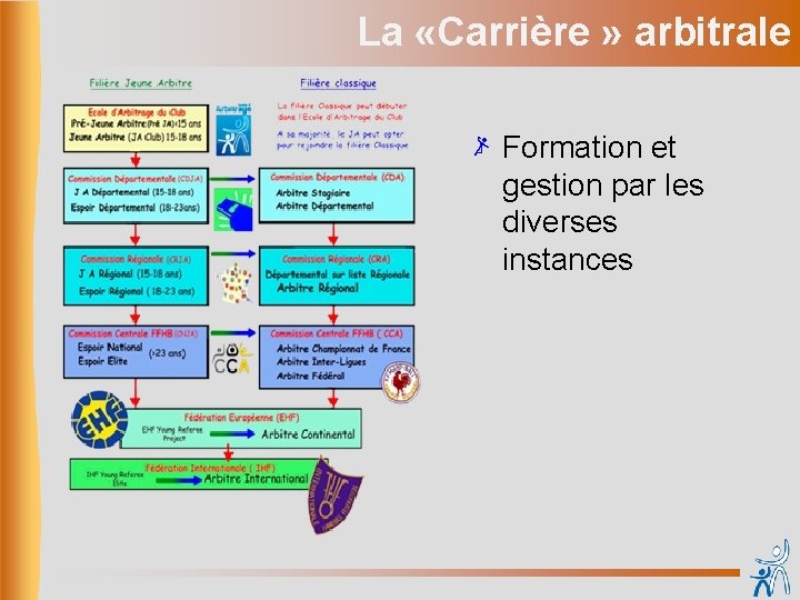 La «Carrière » arbitrale Formation et gestion par les diverses instances 