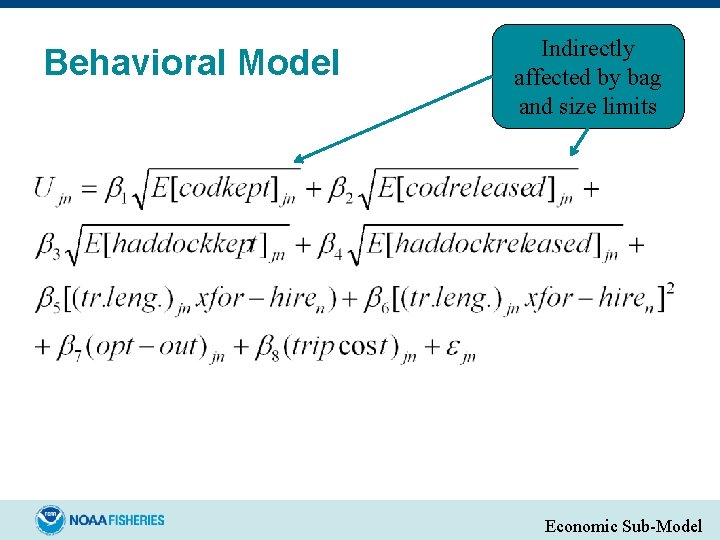 Behavioral Model Indirectly affected by bag and size limits Economic Sub-Model 
