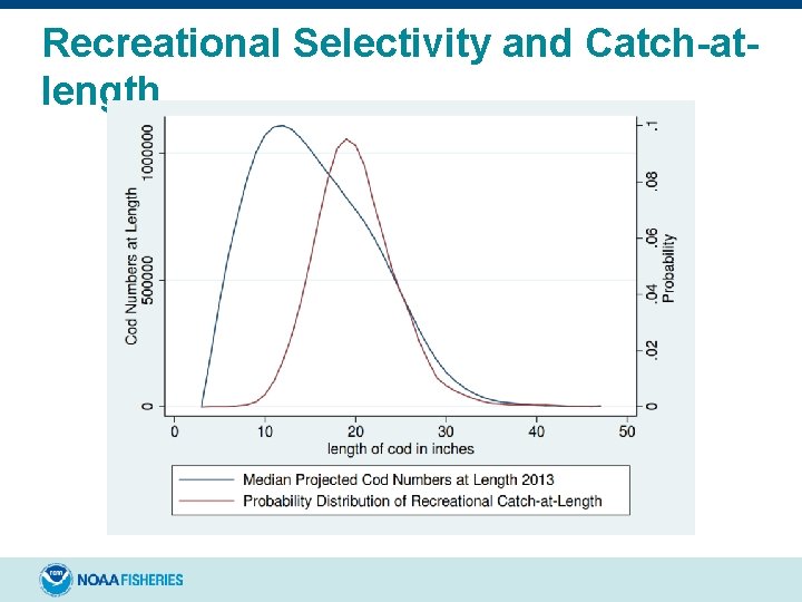 Recreational Selectivity and Catch-atlength 