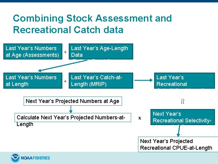 Combining Stock Assessment and Recreational Catch data Last Year’s Numbers Last Year’s Age-Length +