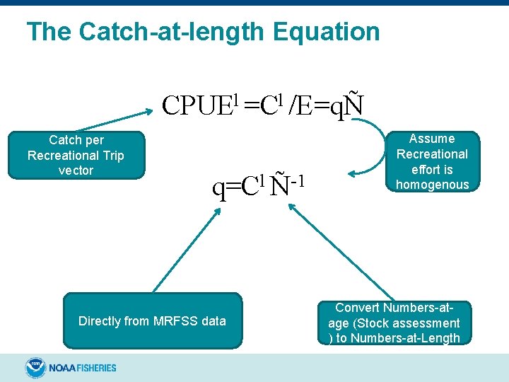 The Catch-at-length Equation CPUEl =Cl /E=qÑ Catch per Recreational Trip vector q=Cl Ñ-1 Directly