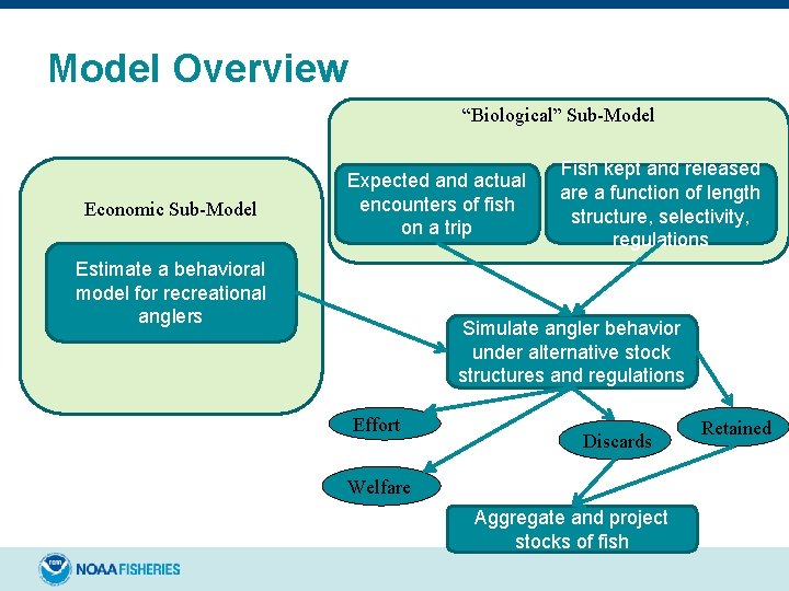 Model Overview “Biological” Sub-Model Economic Sub-Model Expected and actual encounters of fish on a