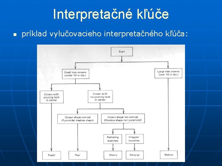 Interpretačné kľúče príklad vylučovacieho interpretačného kľúča: 