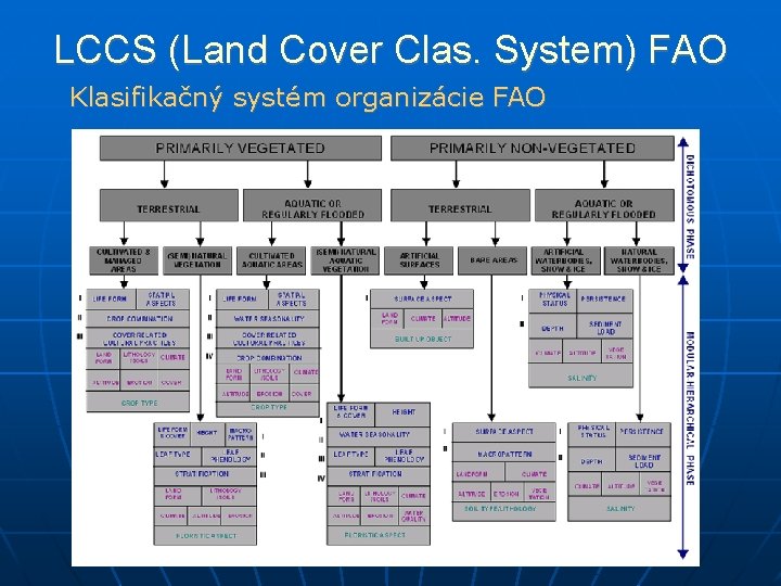 LCCS (Land Cover Clas. System) FAO Klasifikačný systém organizácie FAO 
