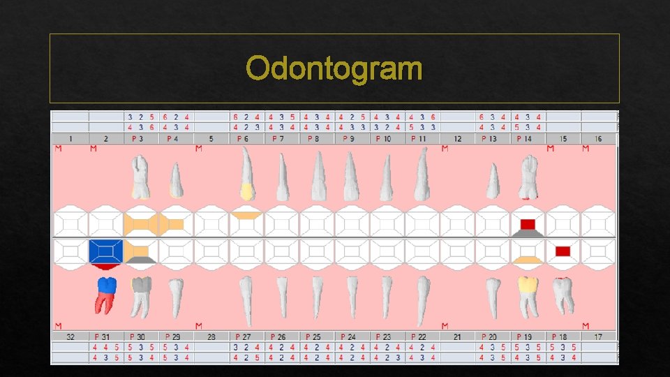 Odontogram 