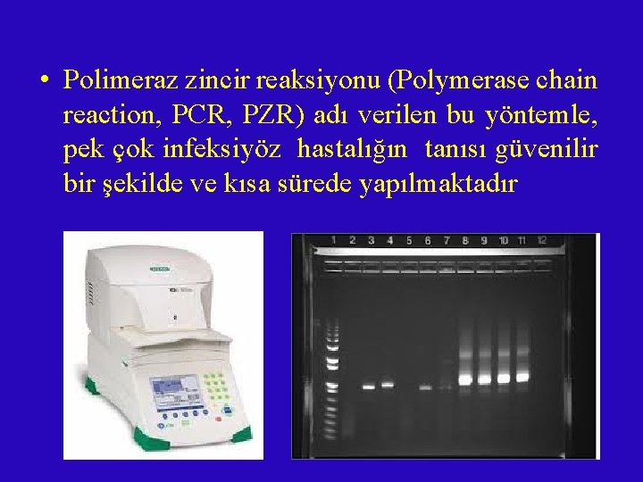 • Polimeraz zincir reaksiyonu (Polymerase chain reaction, PCR, PZR) adı verilen bu yöntemle, • Polimeraz zincir reaksiyonu (Polymerase chain reaction, PCR, PZR) adı verilen bu yöntemle,