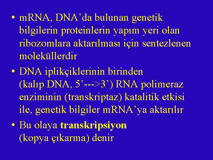 • m. RNA, DNA’da bulunan genetik bilgilerin proteinlerin yapım yeri olan ribozomlara aktarılması • m. RNA, DNA’da bulunan genetik bilgilerin proteinlerin yapım yeri olan ribozomlara aktarılması
