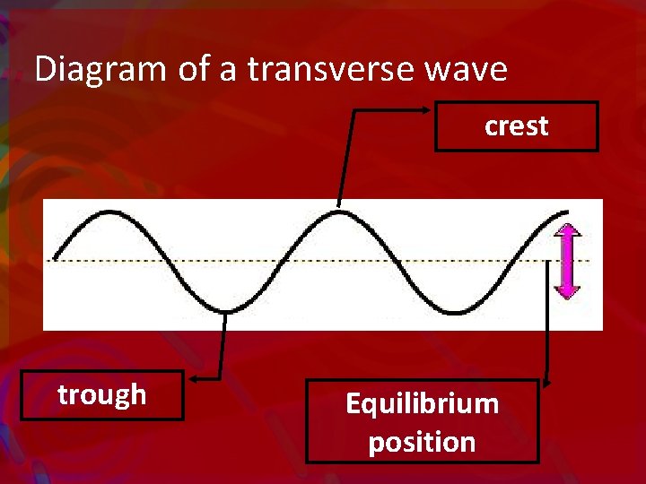 Diagram of a transverse wave crest trough Equilibrium position 