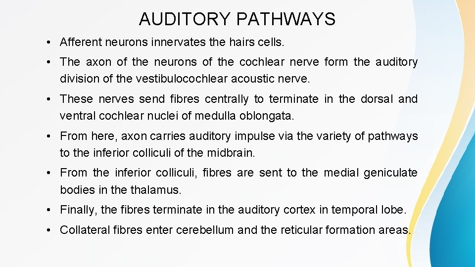 AUDITORY PATHWAYS • Afferent neurons innervates the hairs cells. • The axon of the