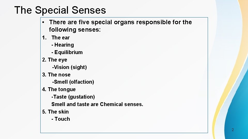 The Special Senses • There are five special organs responsible for the following senses: