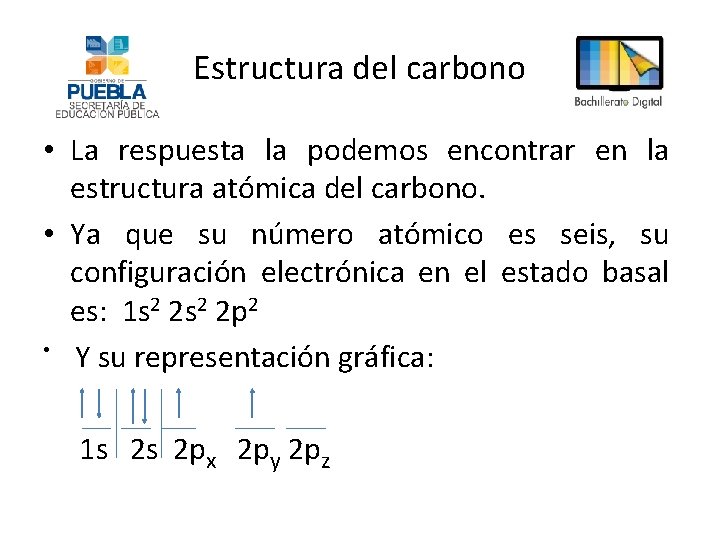 Estructura del carbono • La respuesta la podemos encontrar en la estructura atómica del