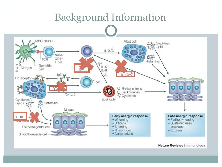 Background Information 