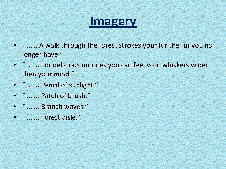 Imagery • “……. A walk through the forest strokes your fur the fur you