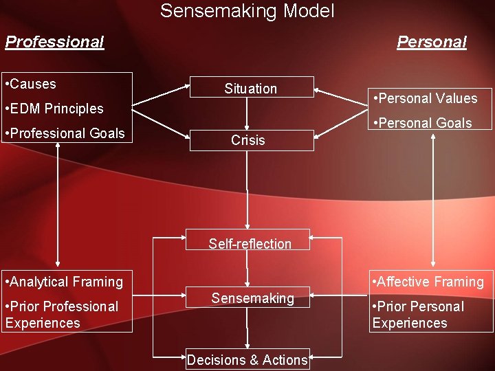 Sensemaking Model Professional • Causes Personal Situation • EDM Principles • Professional Goals •