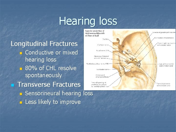 Hearing loss Longitudinal Fractures n n n Conductive or mixed hearing loss 80% of