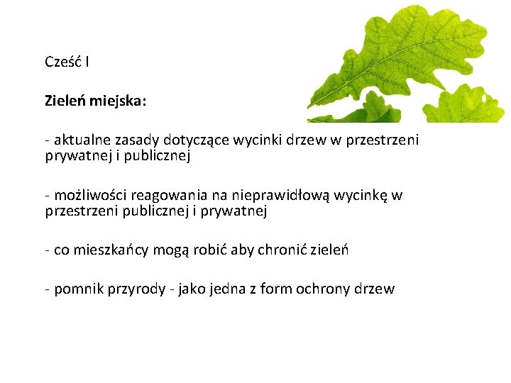 Cześć I Zieleń miejska: - aktualne zasady dotyczące wycinki drzew w przestrzeni prywatnej i