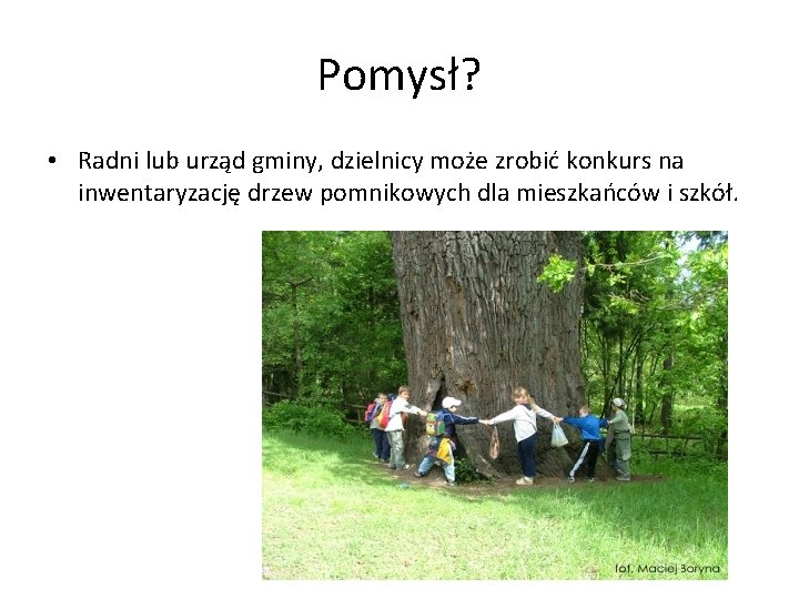 Pomysł? • Radni lub urząd gminy, dzielnicy może zrobić konkurs na inwentaryzację drzew pomnikowych