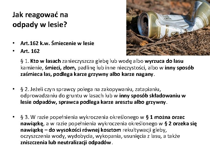 Jak reagować na odpady w lesie? • Art. 162 k. w. Śmiecenie w lesie