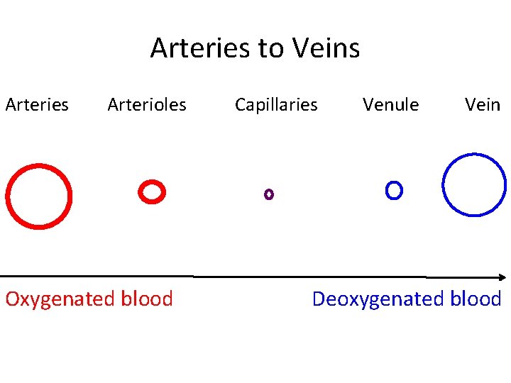 Arteries to Veins Arteries Arterioles Oxygenated blood Capillaries Venule Vein Deoxygenated blood  Arteries to Veins Arteries Arterioles Oxygenated blood Capillaries Venule Vein Deoxygenated blood